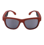 Colored Smart Glasses VYLASA